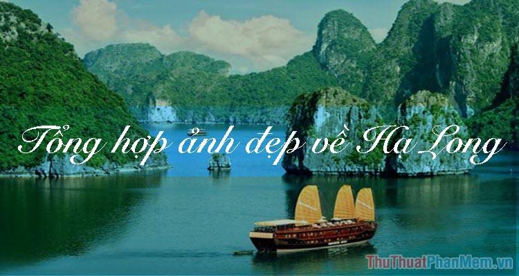 Khám phá vẻ đẹp Hạ Long qua bộ sưu tập hình ảnh ấn tượng nhất