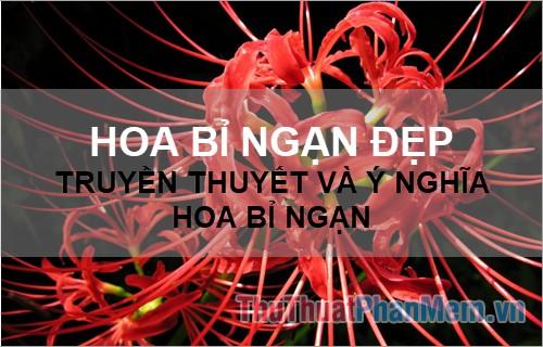 Hoa Bỉ Ngạn - Vẻ đẹp huyền ảo và những câu chuyện truyền thuyết đầy ý nghĩa