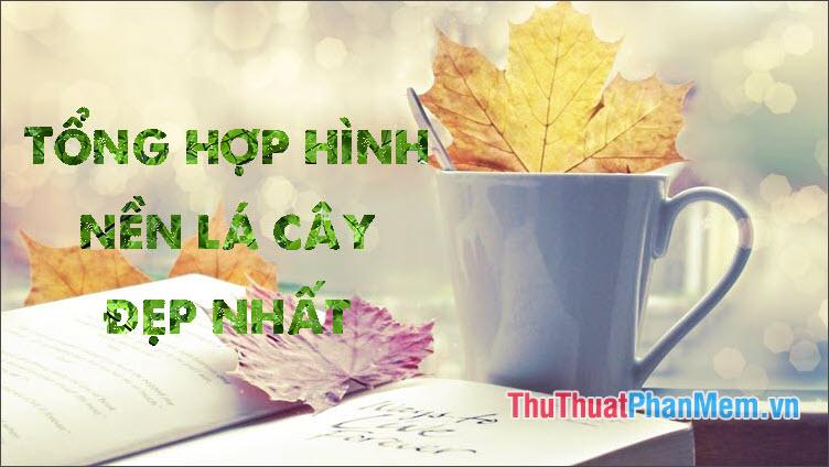 Bộ sưu tập hình nền lá cây đẹp nhất dành cho bạn