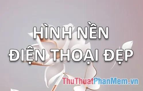 Khám phá bộ sưu tập hình nền điện thoại đẹp mê ly