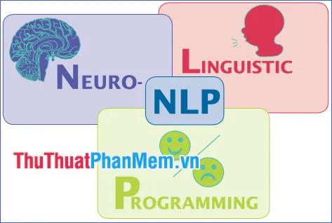 NLP là gì? Khám phá tổng quan về lập trình ngôn ngữ tư duy (NLP)