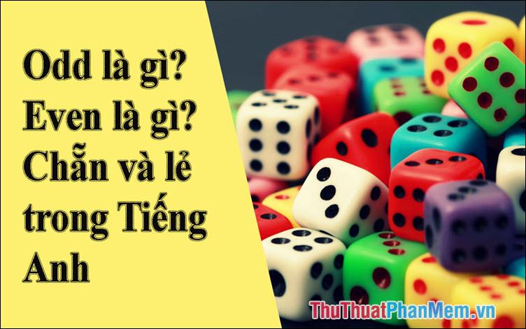 Odd và Even là gì? Khám phá ý nghĩa của chẵn và lẻ trong tiếng Anh