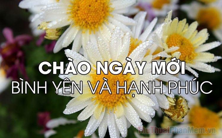 Khám phá và tải ngay những hình ảnh chúc ngày mới tràn đầy năng lượng và may mắn