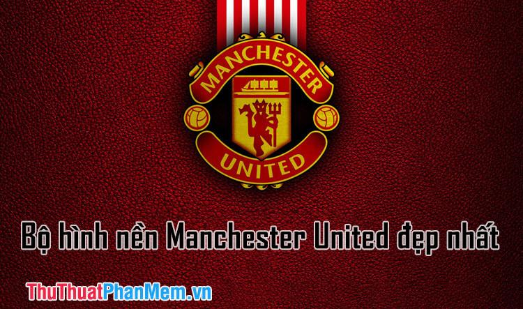 Bộ sưu tập hình nền Manchester United đẹp nhất dành cho người hâm mộ