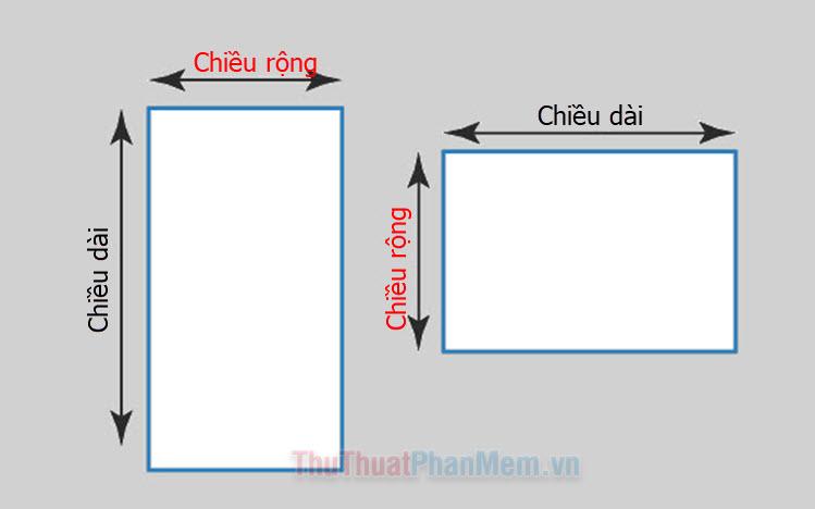 Chiều dài và chiều rộng là gì? Khám phá các ví dụ thực tế về cách tính toán chiều dài và chiều rộng