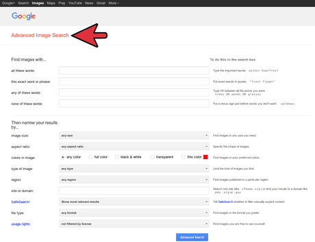 Hướng dẫn tìm kiếm hình ảnh miễn phí bản quyền bằng công cụ tìm kiếm nâng cao của Google