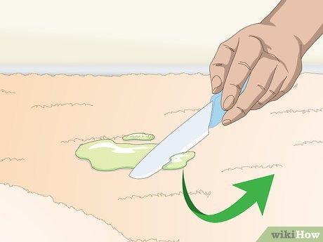 Cách loại bỏ slime khô cứng trên thảm một cách hiệu quả