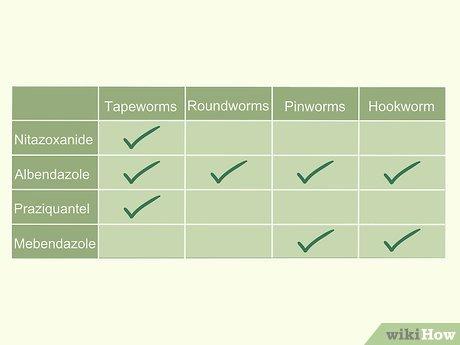 Hướng Dẫn Tự Tẩy Giun Hiệu Quả