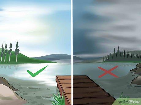 Bí quyết chọn thời điểm lý tưởng để câu cá
