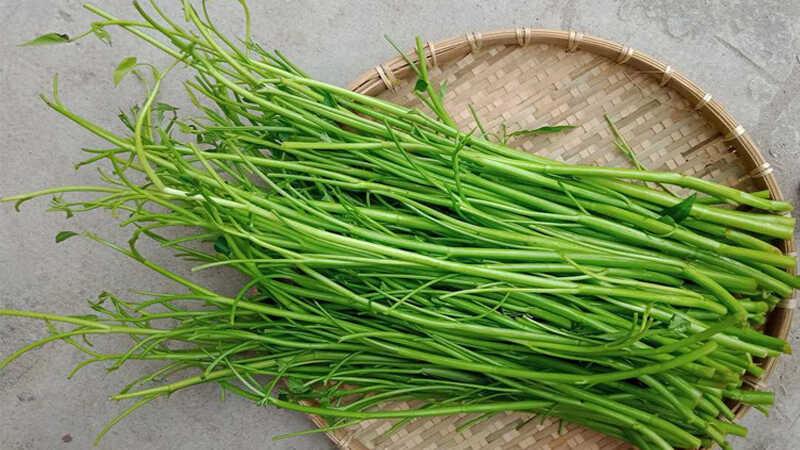 3 bước đơn giản giúp rau muống luôn tươi ngon suốt nhiều tuần