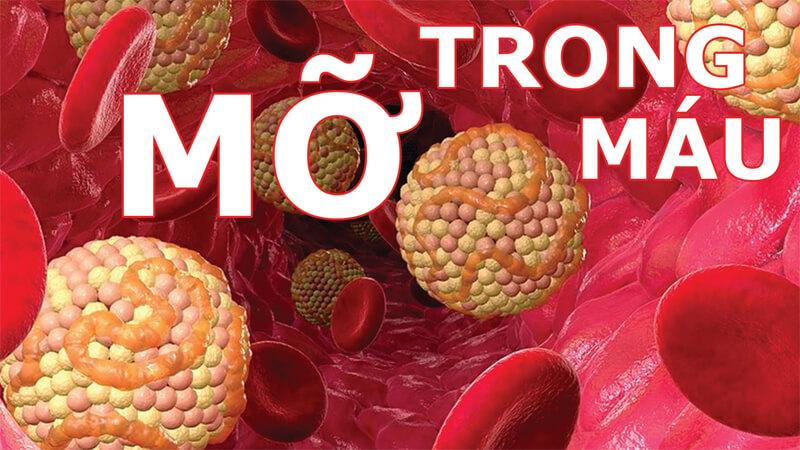 Sinh tố việt quất - món đồ uống bổ dưỡng đáng để khám phá