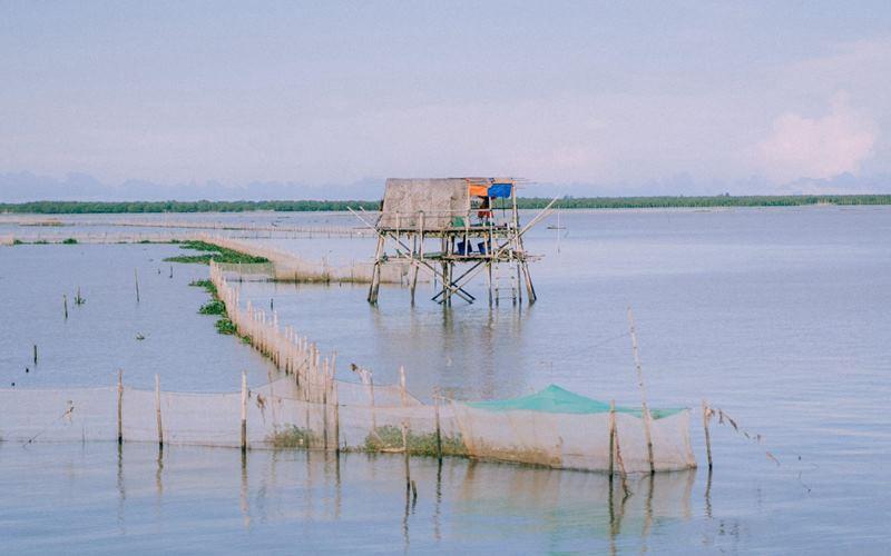 Bãi biển Cồn Nổi, với vẻ đẹp mê hoặc, luôn là điểm đến lý tưởng cho những ai yêu thích sự hoang sơ và bình yên. Hãy cùng khám phá những điều thú vị mà nơi này mang lại!