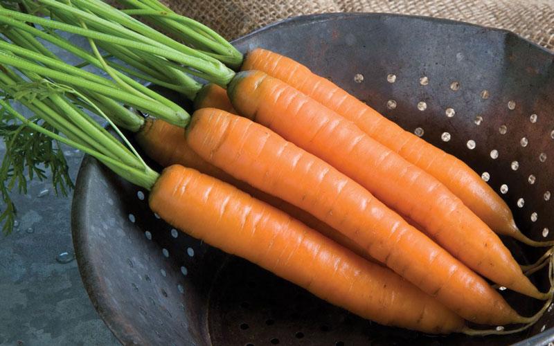 Danh sách những thực phẩm giàu vitamin A mà ai cũng nên biết đến
