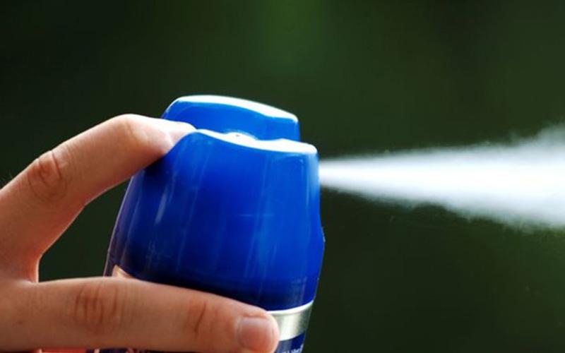 Những phương pháp hiệu quả để tiêu diệt ruồi giấm trong nhà vệ sinh