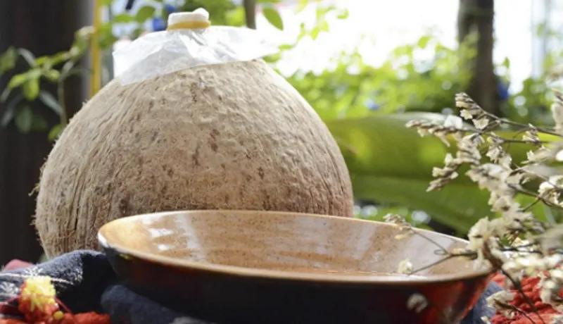 Hướng dẫn cách tự tay chế biến rượu trái dừa ngọt ngào, thơm lừng ngay tại ngôi nhà của bạn.