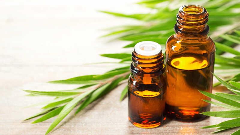 Tinh dầu tràm trà mang lại nhiều lợi ích tuyệt vời cho sức khỏe của trẻ nhỏ, từ việc tăng cường hệ miễn dịch đến làm lành vết thương nhanh chóng. Đây là một phương pháp tự nhiên, an toàn mà hiệu quả để bảo vệ sức khỏe cho bé yêu.