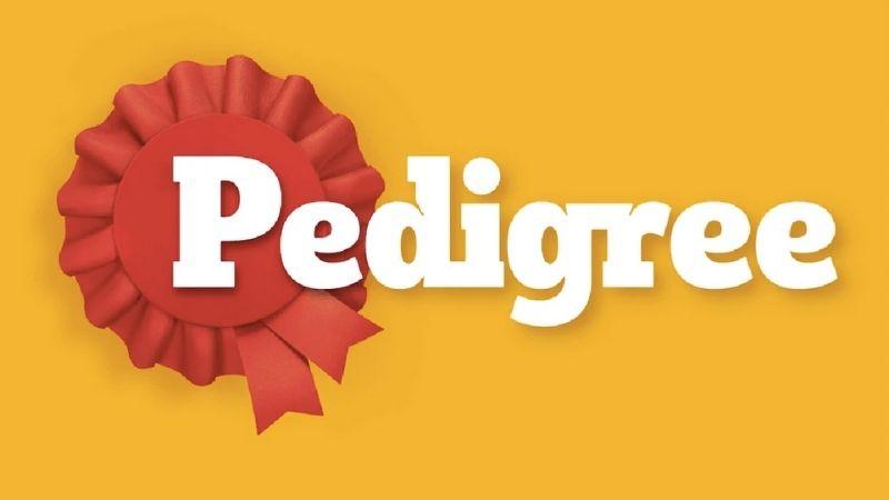 Khám phá 10 loại thức ăn vặt của Pedigree, thơm ngon và luôn được các chú cún yêu thích.