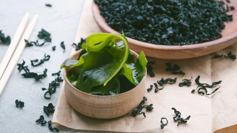Rong biển Wakame là gì? Khám phá những lợi ích tuyệt vời đối với sức khỏe của Wakame