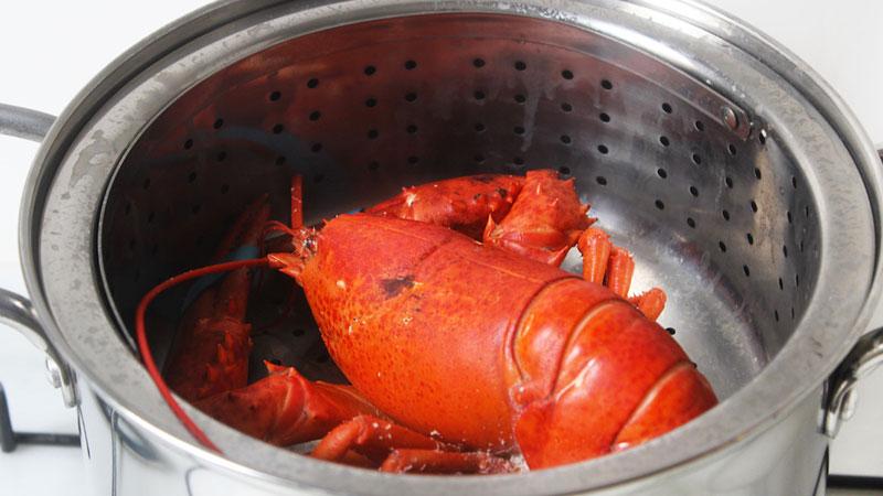 Những phương pháp hấp tôm hùm tuyệt vời và dễ thực hiện ngay tại ngôi nhà của bạn