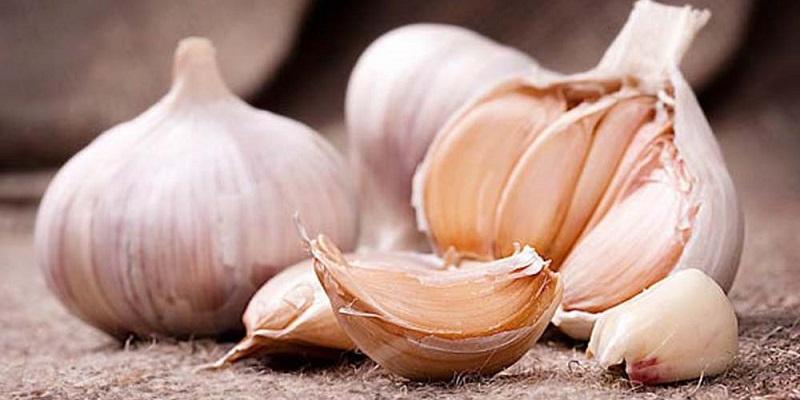Những điều ít người biết về tỏi, một loại gia vị vừa quen thuộc vừa đầy bất ngờ, sẽ khiến bạn thay đổi cách nhìn nhận về nó.