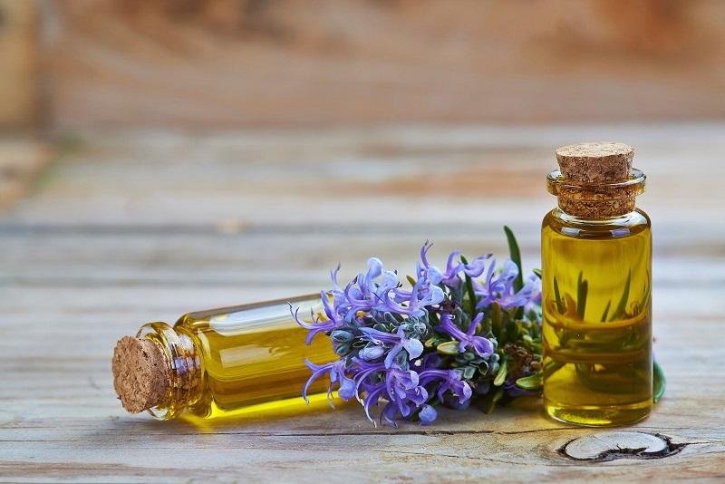 Cách đuổi ruồi hiệu quả và an toàn cho quán ăn, nhanh chóng lấy lại không gian sạch sẽ cho thực khách.