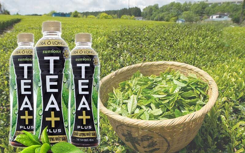 Trà Ô Long Tea Plus có thực sự ngon và phù hợp với những người bị tiểu đường hay không? Hãy cùng khám phá để biết thêm chi tiết.