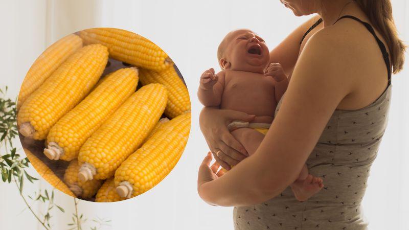 Mẹ sau sinh có thể ăn bắp luộc hay không? Những điều cần lưu ý khi thưởng thức món ăn này