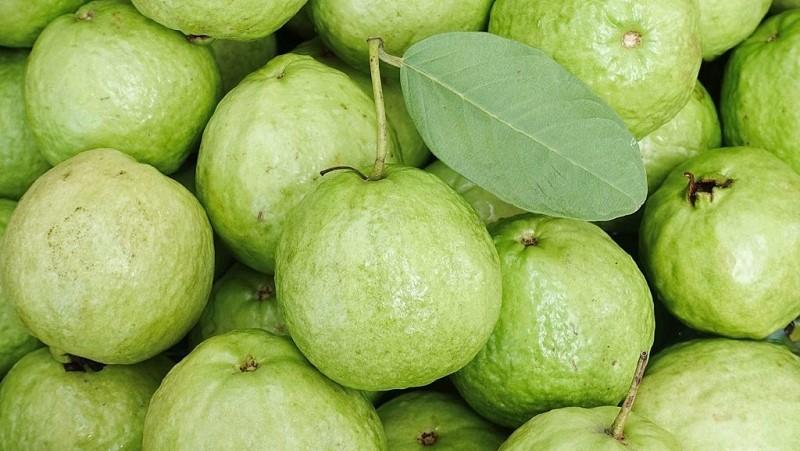 Khám phá cách chế biến sinh tố ổi thơm ngon, bổ dưỡng, chứa đầy vitamin tốt cho sức khỏe của bạn.