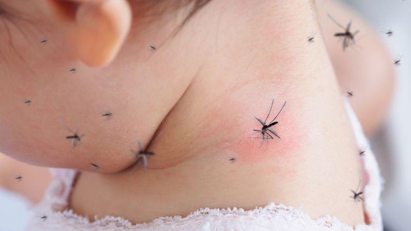 Lựa chọn thuốc xịt muỗi an toàn cho bé, không gây hại cho làn da nhạy cảm của trẻ