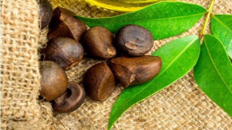 Dầu hoa trà (Camellia Oil) là gì? Công dụng của loại dầu này là gì?