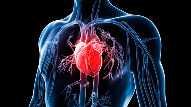 Khám phá 8 lợi ích bất ngờ từ sữa ong chúa mà bạn có thể chưa từng nghe đến