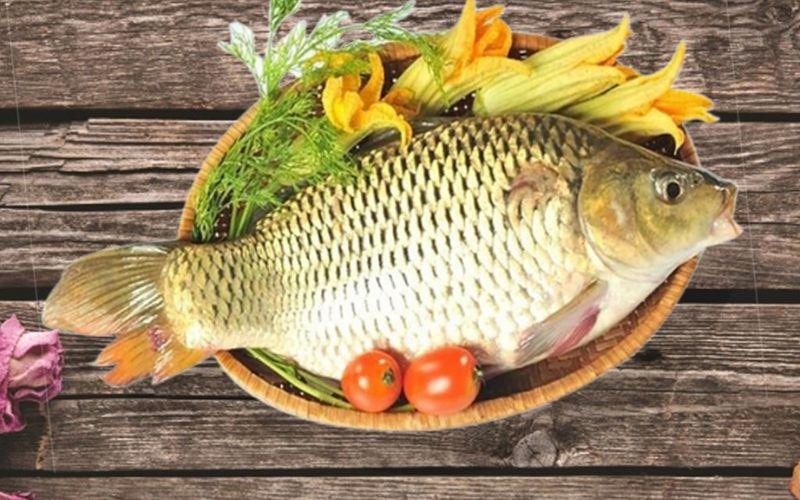 Bà bầu có nên ăn cá chép? Những điều cần lưu ý khi thưởng thức cá chép trong thai kỳ