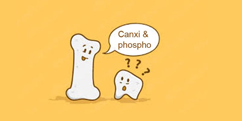 Tỷ lệ Canxi/Phốt pho (Ca/P) có ý nghĩa như thế nào?