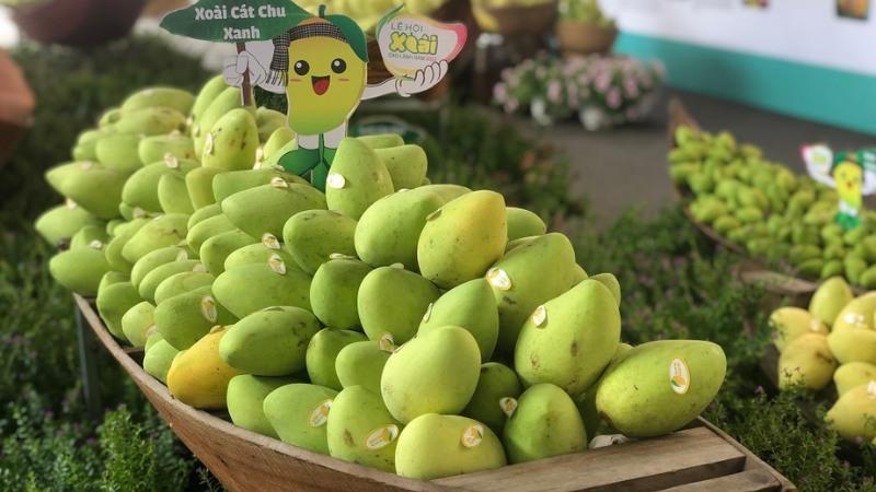 Khám phá các giống xoài đặc sản của Đồng Tháp, nơi mỗi trái xoài không chỉ là món quà của thiên nhiên mà còn là biểu tượng của giá trị văn hóa và kinh tế nơi đây.