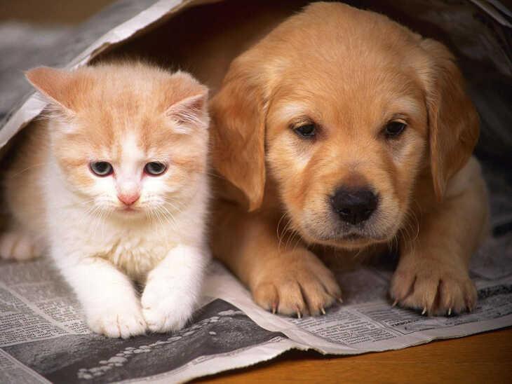 Bã cà phê pha phin không chỉ là một phụ phẩm bỏ đi, mà lại là một kho tàng công dụng bất ngờ. Hãy cùng khám phá những lợi ích mà bã cà phê có thể mang lại trong cuộc sống hàng ngày.