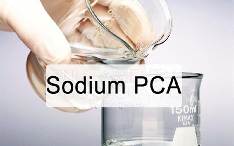 Sodium PCA là thành phần phổ biến trong mỹ phẩm, nhưng bạn đã hiểu rõ về nó chưa?