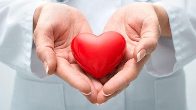 Bạn có bao giờ tự hỏi nếu ăn cải kale mỗi ngày, cơ thể bạn sẽ thay đổi như thế nào? Những lợi ích từ loại rau này sẽ khiến bạn không thể bỏ qua.