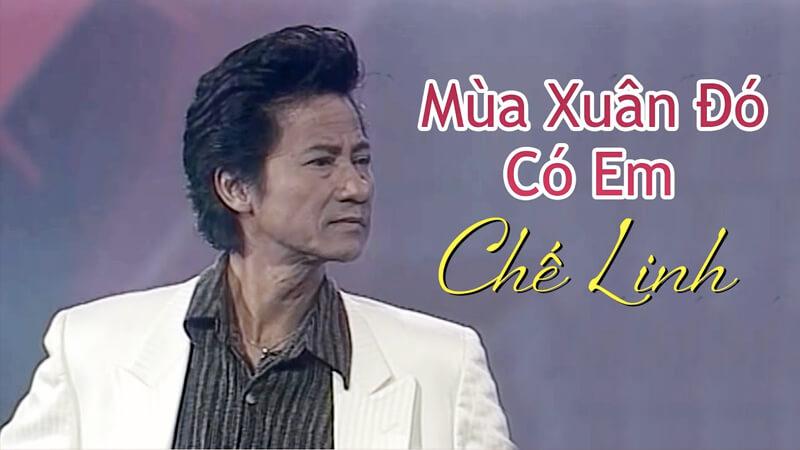 Khám phá 10 ca khúc xuân kinh điển của danh ca Chế Linh – những giai điệu ngọt ngào hòa quyện với không khí Tết, mang đậm dấu ấn thăng trầm của cuộc sống.