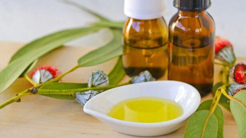 Khám phá cách tự chế tinh dầu bạch đàn – không chỉ mang lại hương thơm tự nhiên cho không gian mà còn giúp đuổi muỗi hiệu quả, bảo vệ sức khỏe.