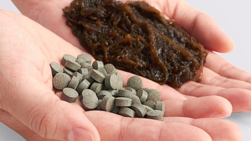 Thực phẩm chức năng Fucoidan từ Nhật Bản mang đến những lợi ích sức khỏe không ngờ, từ việc tăng cường miễn dịch đến hỗ trợ điều trị nhiều bệnh lý nguy hiểm.