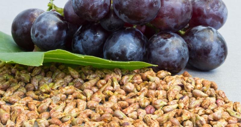 Ăn nho mà vô tình nuốt cả hạt có gây ảnh hưởng gì không?