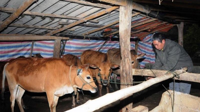Văn khấn dành cho việc xây dựng chuồng trại chăn nuôi, hay còn gọi là nghi lễ cúng ông chuồng bà chuồng, thể hiện lòng tôn kính và cầu nguyện cho sự phát triển khỏe mạnh của vật nuôi, đảm bảo cho công việc chăn nuôi đạt được thành công.