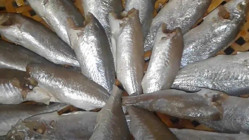 Khám phá 2 cách làm khô cá đù 1 nắng và khô cá đù chấy tỏi thơm ngon, dễ thực hiện ngay tại nhà