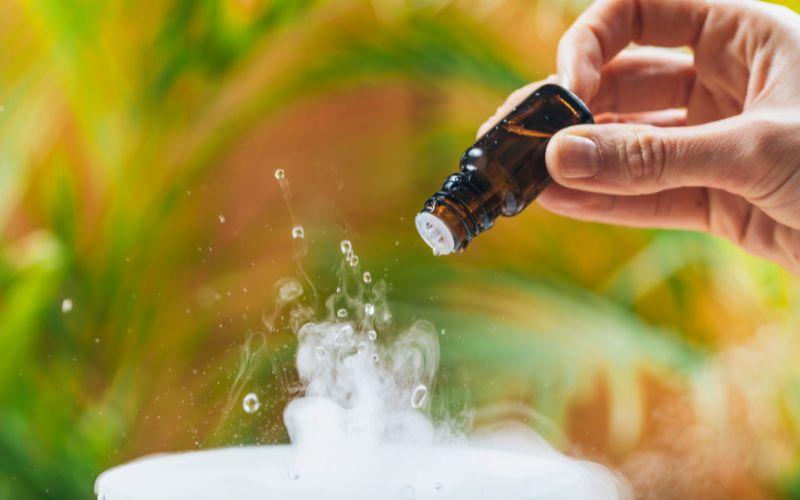 Tinh dầu xông mũi có thực sự giúp điều trị viêm xoang? Những điều cần lưu ý khi sử dụng.