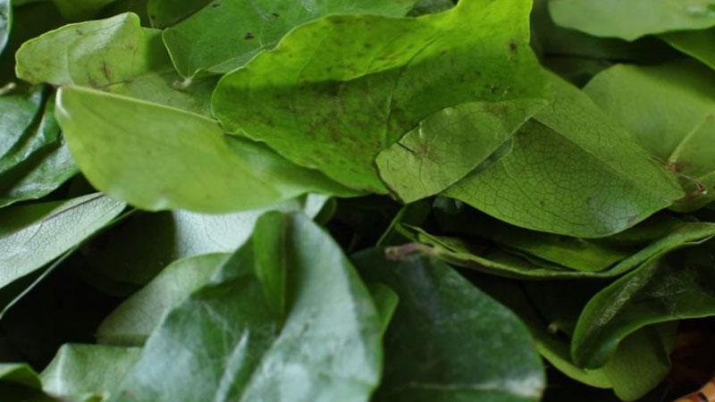 Món sương sâm hạt é mang đến ký ức tuổi thơ, một cảm giác quen thuộc nhưng đầy mới mẻ, khiến lòng ta như tràn ngập niềm vui dịu dàng.