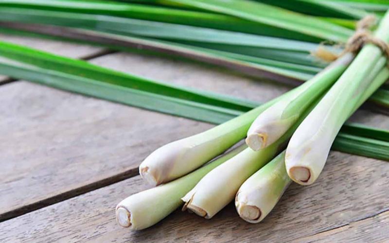 Khám phá 4 phương pháp xông mặt bằng sả giúp dưỡng da và trị mụn hiệu quả