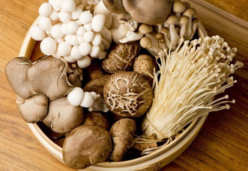 Mẹo bảo quản nấm tươi lâu mà vẫn giữ nguyên dinh dưỡng