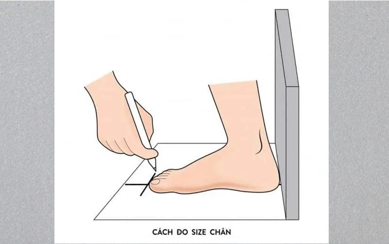 Khám phá cách chọn size giày nữ chuẩn xác và dễ dàng thực hiện, giúp bạn tự tin trong từng bước đi.