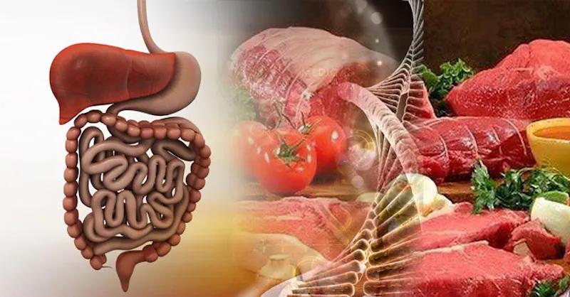 Bất ngờ với những công dụng tuyệt vời của thịt trâu