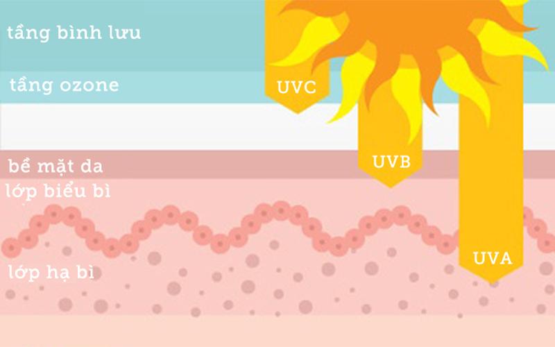 Tắm nắng vào sáng sớm trước 9h hoặc chiều muộn sau 4h không giúp cơ thể tổng hợp vitamin D như bạn nghĩ.